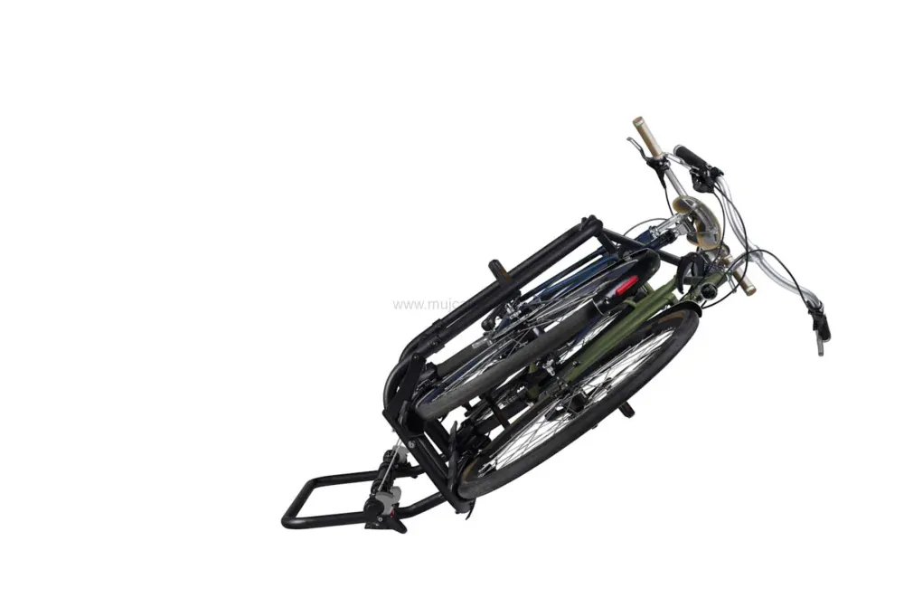Nosič elektrokol Thule Caravan Superb Short XT Black