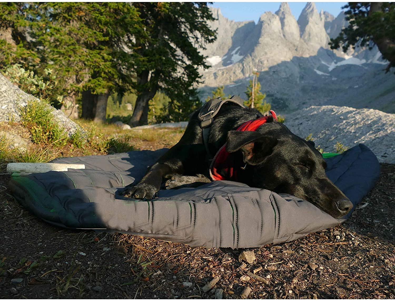 Vyhřívaná aku deka pro psy Comforter S