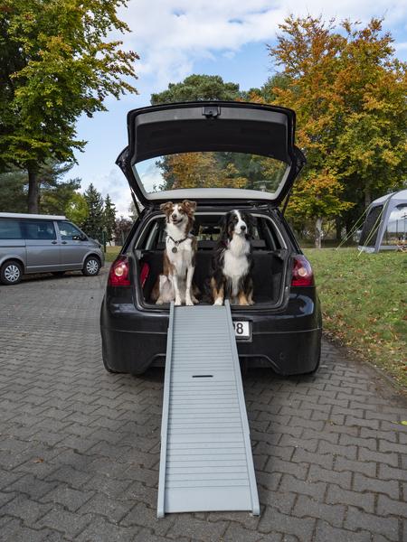Skládací rampa pro psy EMMA - do 40 kg