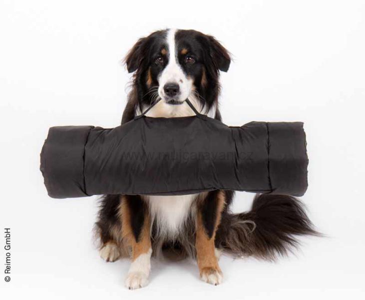 Podložka pro psy Abby, 100 x 65 cm