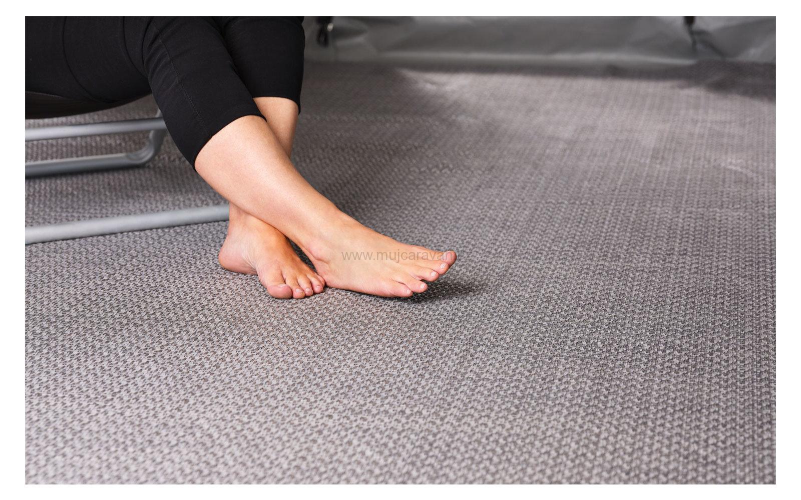 Stanový koberec Isabella Flint, šíře 250 cm