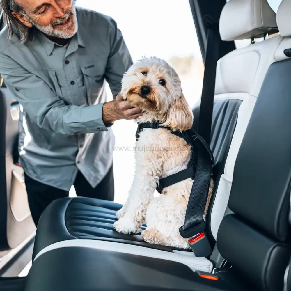 Postroj pro psa Thule Cappy S