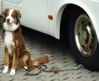 Držák pro psy Dog-Sitter